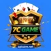 7C Game